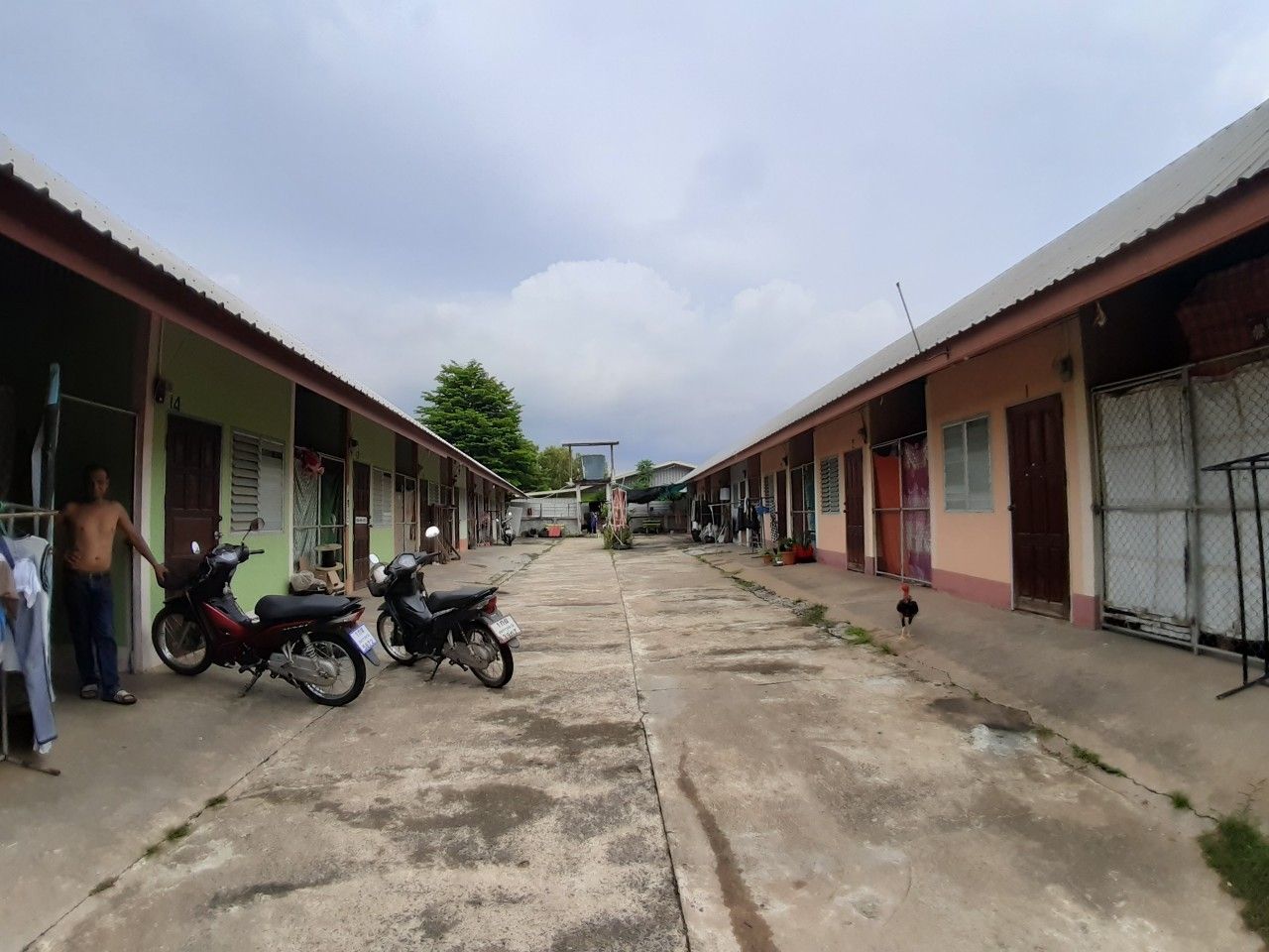 gallery