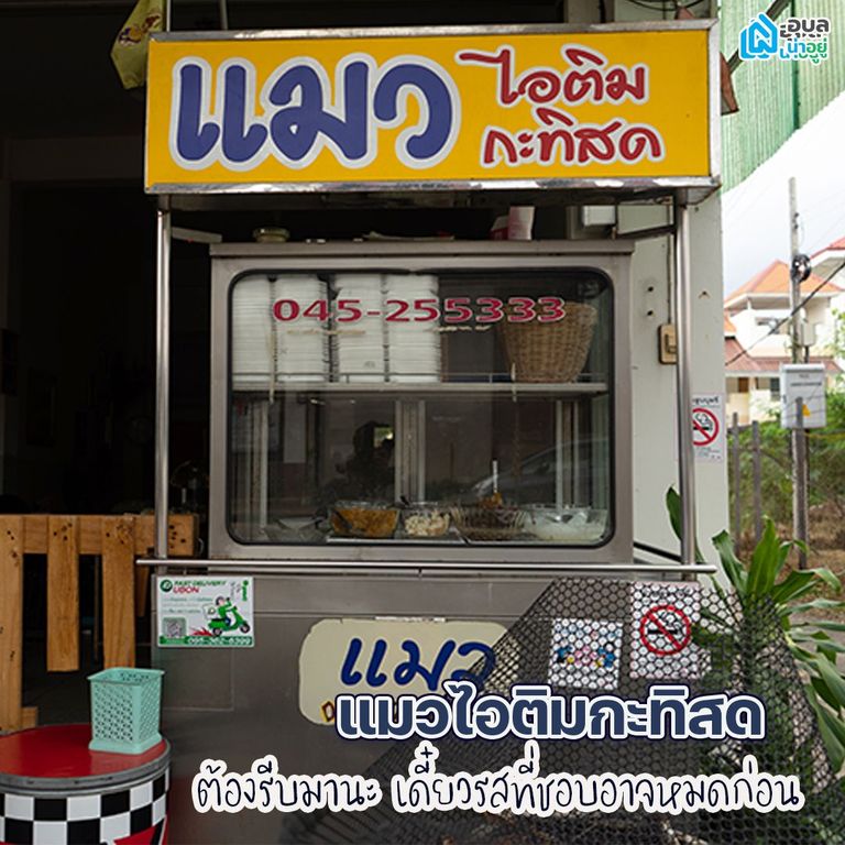 แมวไอติมกะทิสด