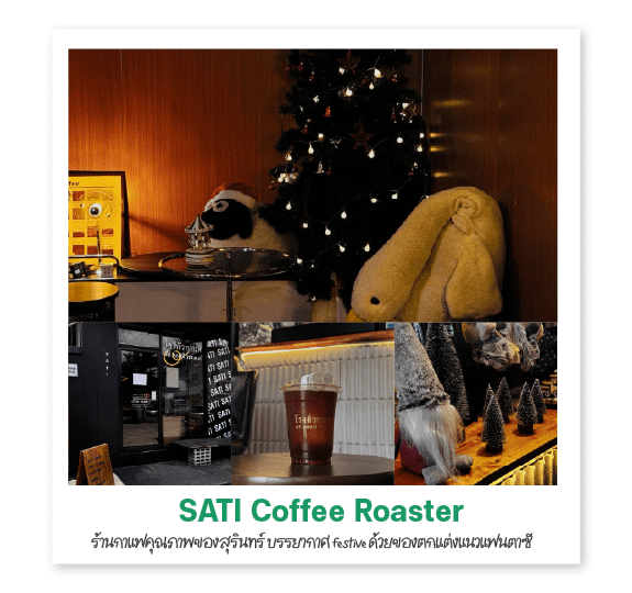 SATI Coffee Roaster