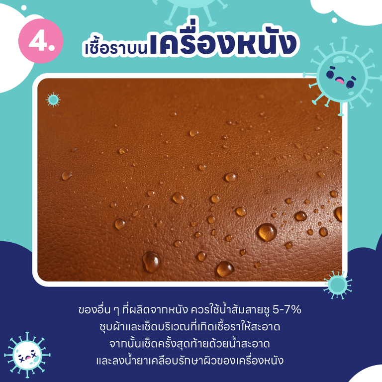 บ้านชื้น ขึ้นรา เป็นเพราะอะไร ? และ วิธีกำจัดเชื้อรา ในบ้านแบบไม่ให้กลับมาอีก