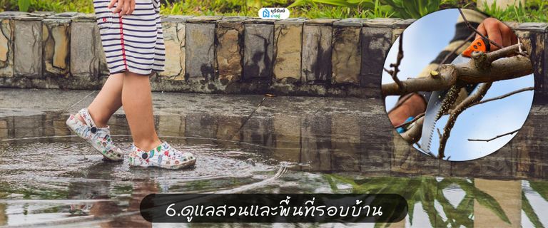 ดูแลสวนและพื้นที่รอบบ้าน ในหน้าฝน