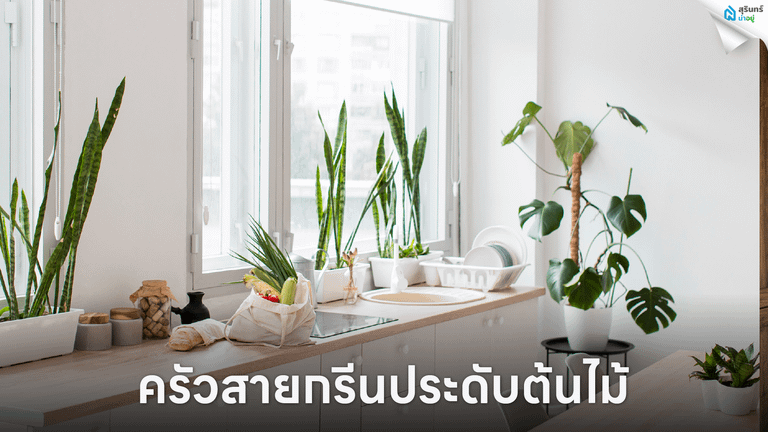ครัวสายกรีนประดับต้นไม้