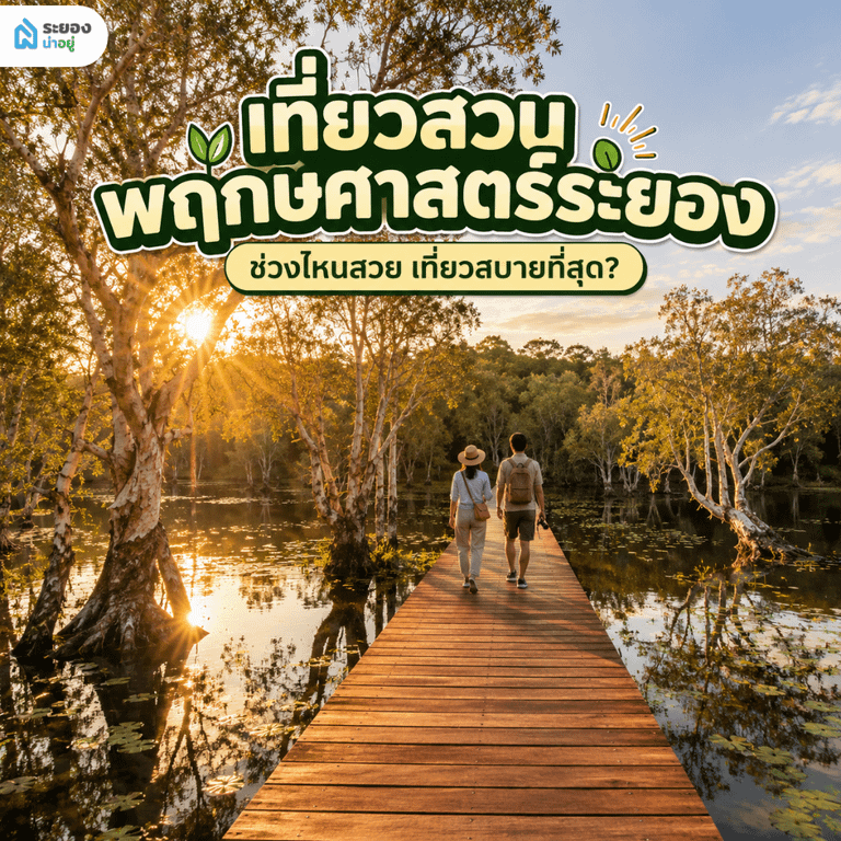 แนะนำช่วงเวลาน่าเที่ยว สวนพฤกษศาสตร์ระยอง