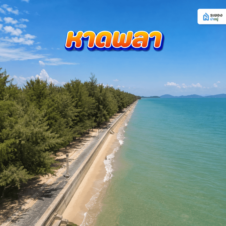 หาดพลา
