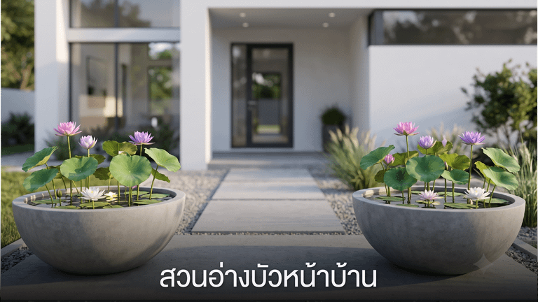 สวนอ่างบัวหน้าบ้าน