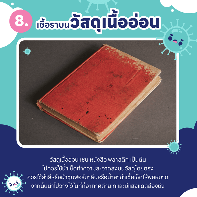 บ้านชื้น ขึ้นรา เป็นเพราะอะไร ? และ วิธีกำจัดเชื้อรา ในบ้านแบบไม่ให้กลับมาอีก