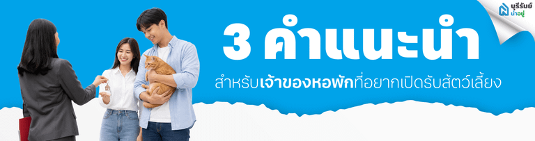 3 คำแนะนำสำหรับเจ้าของหอพักที่อยากเปิดรับสัตว์เลี้ยง
