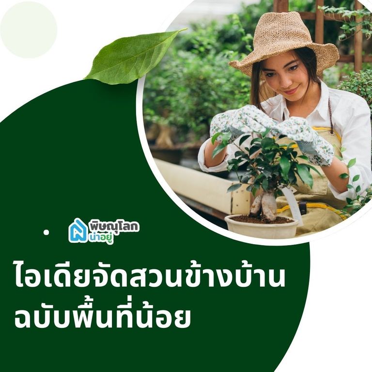 ไอเดียจัดสวนข้างบ้านฉบับพื้นที่น้อย