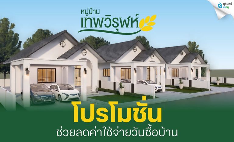 โปรโมชั่นหมู่บ้านเทพวิรุฬห์