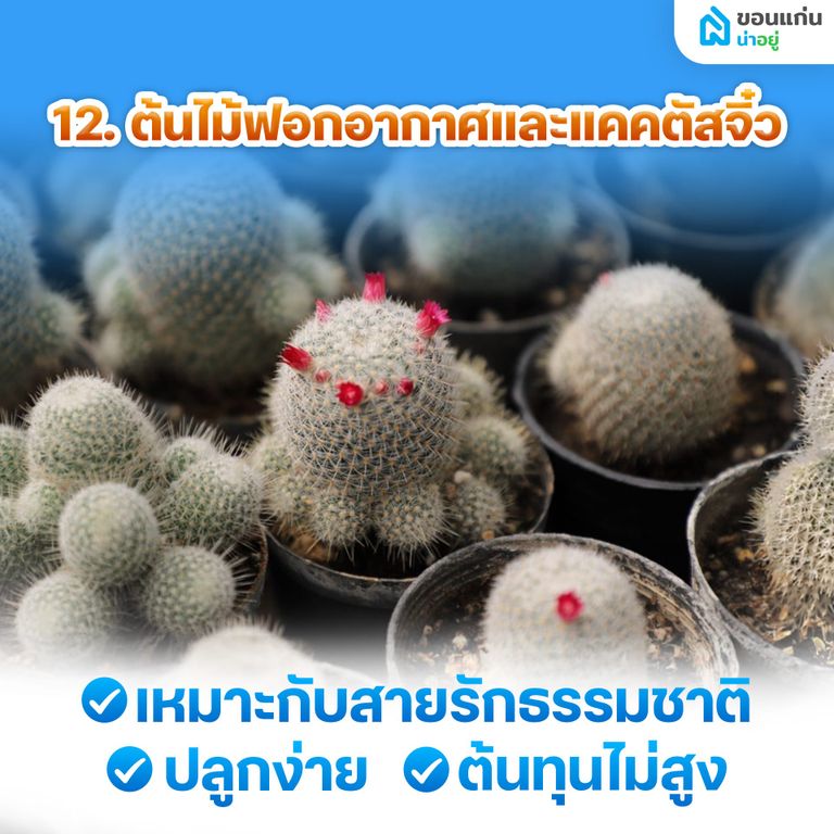 อยู่บ้านเฉยๆ ทําอะไรขายดี ให้มีเงินเข้ากระเป๋าทุกวัน?