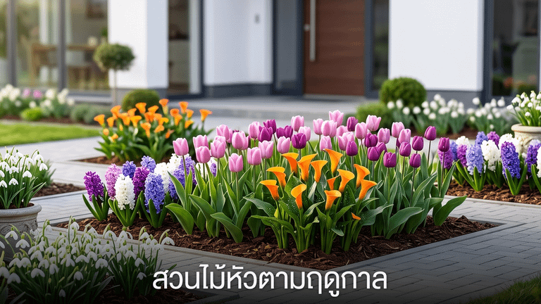 สวนไม้หัวตามฤดูกาล