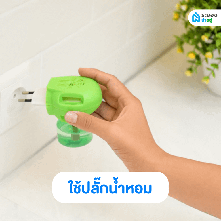 ปลั๊กน้ำหอม