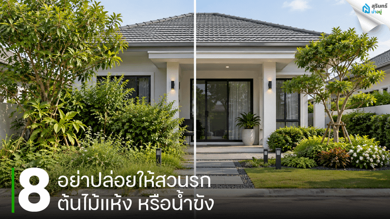 อย่าปล่อยให้สวนรก ต้นไม้แห้ง หรือน้ำขัง