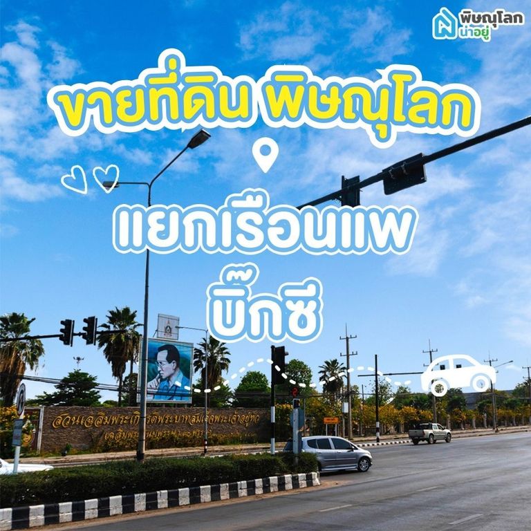 ขายที่ดิน พิษณุโลก โซนแยกเรือนแพ - บิ๊กซี 