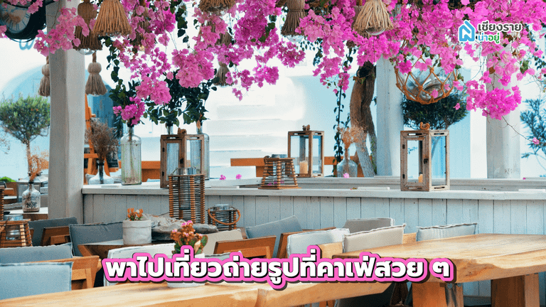 สถานที่เดทเซอร์ไพรส์แฟน