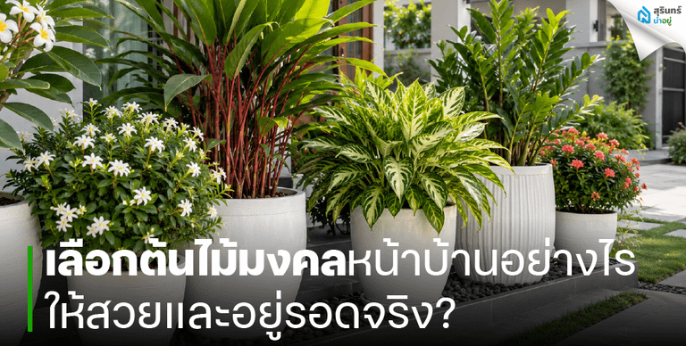เลือกต้นไม้มงคลหน้าบ้านอย่างไร ให้สวยและอยู่รอดจริง?