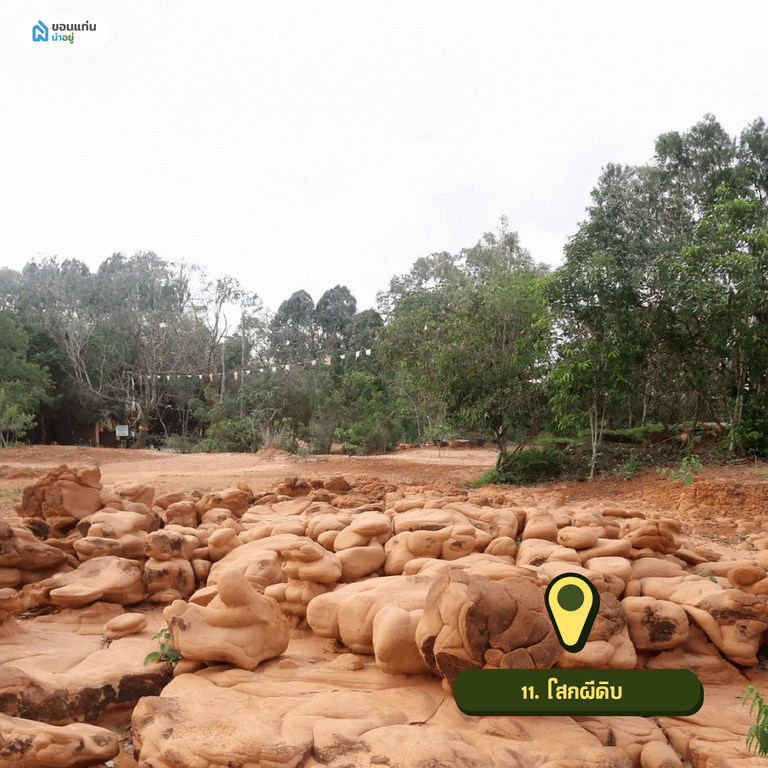 โสกผีดิบ