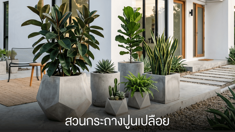 สวนกระถางปูนเปลือย
