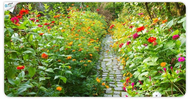 7. เลือกต้นไม้ตามหลัก Right Plant, Right Place