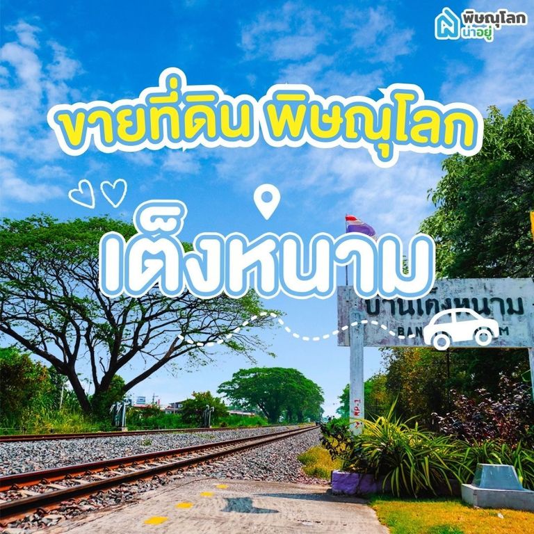 ขายที่ดิน พิษณุโลก โซนเต็งหนาม 