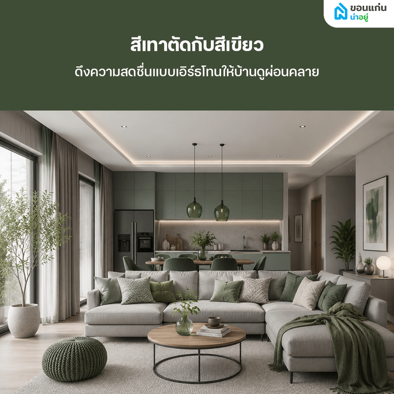  สีเทาตัดกับสีเขียว