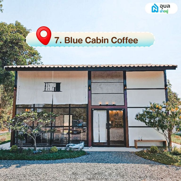 Blue Cabin Coffee
