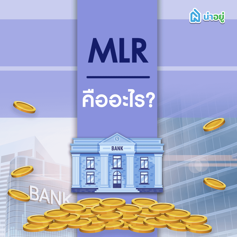 MLR คืออะไร