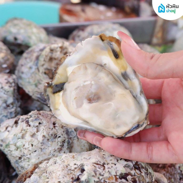 ตลาดปากน้ำ ปราณบุรี หอยนางรม