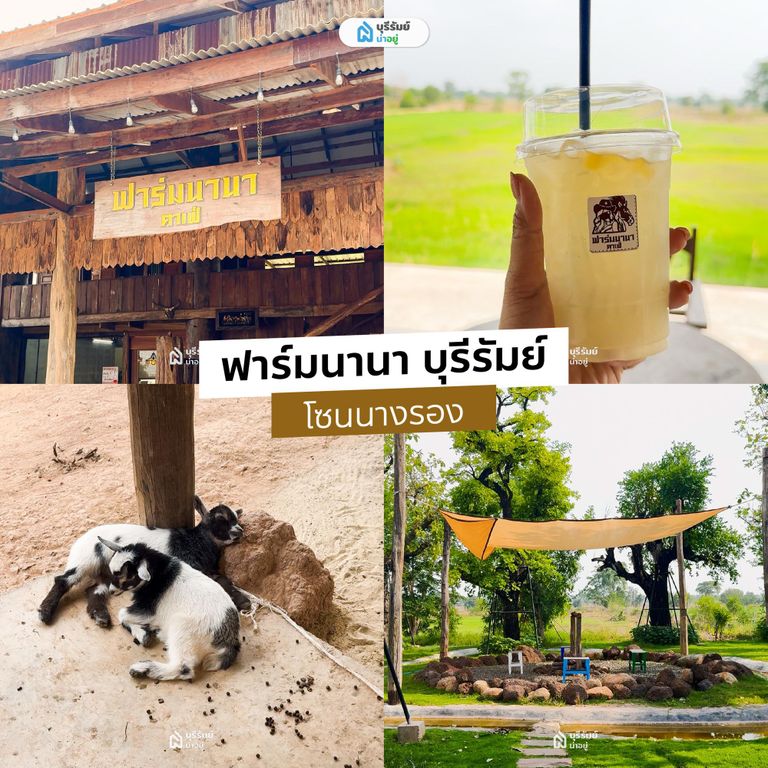 ฟาร์มนานา 