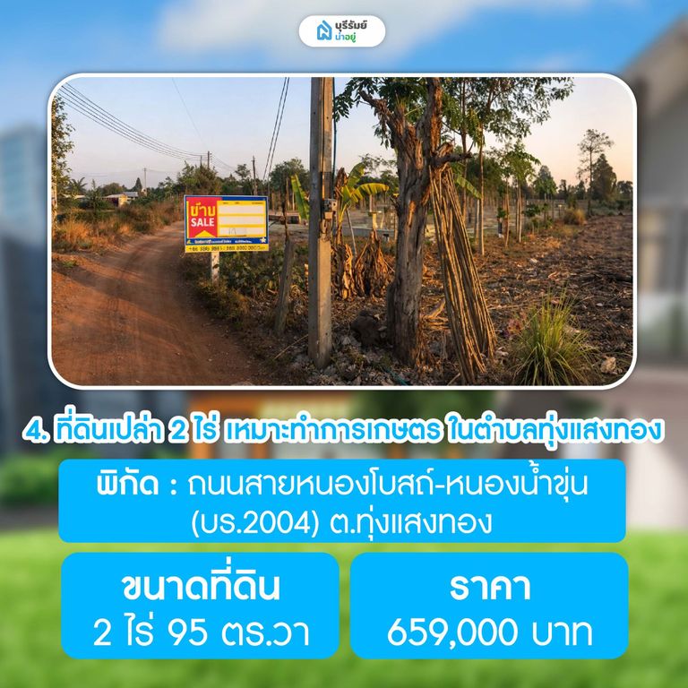 ที่ดินเปล่า 2 ไร่ เหมาะทำการเกษตร ในตำบลทุ่งแสงทอง