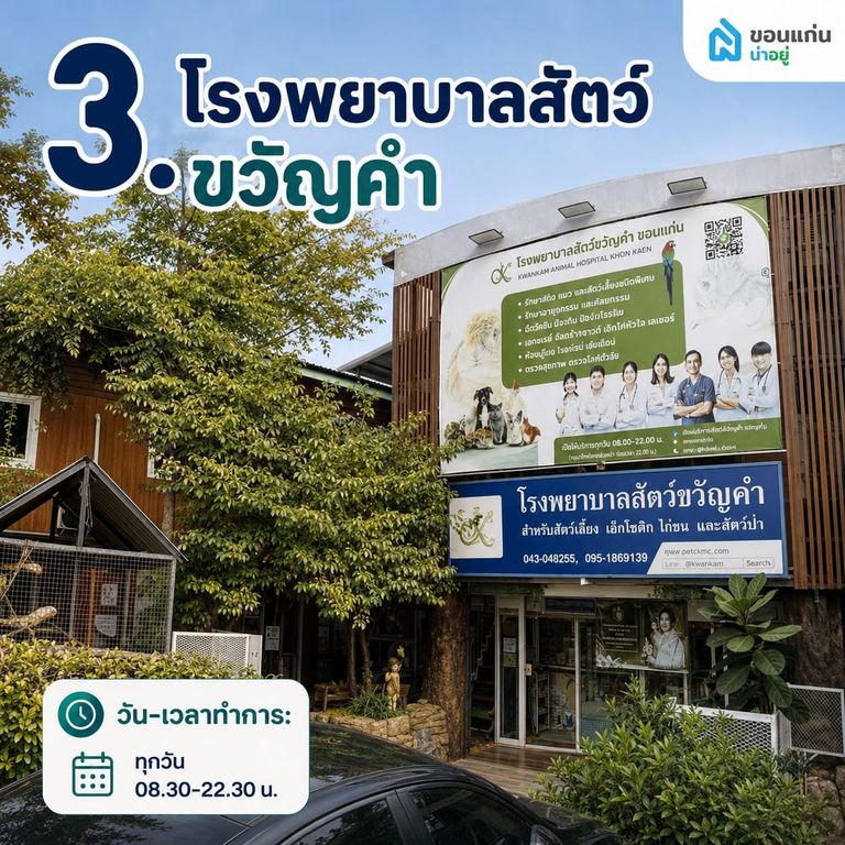 โรงพยาบาลสัตว์ขวัญคำ ขอนแก่น