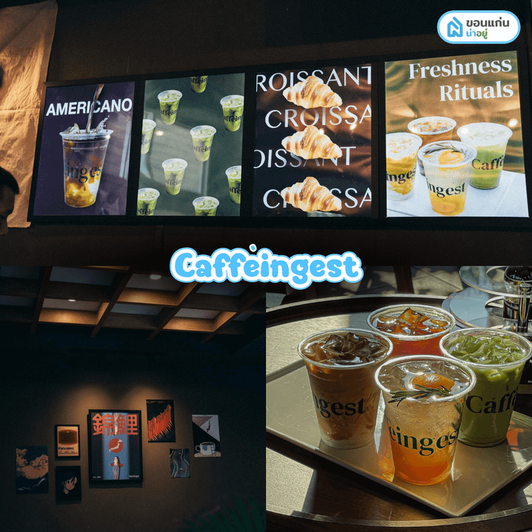 คาเฟ่มข Caffèingest