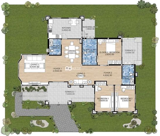 plan